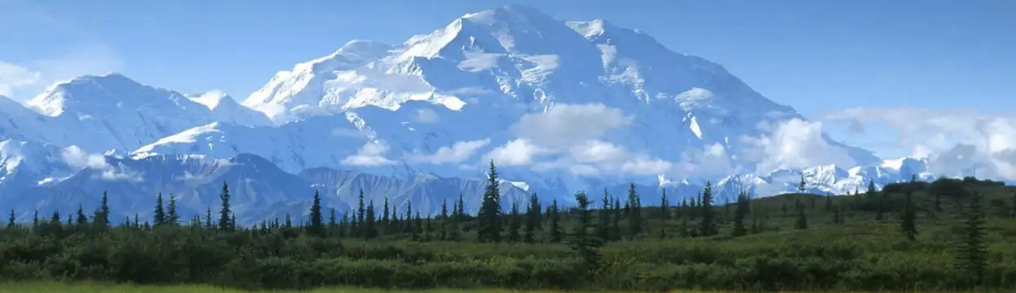 image-20241119234338897